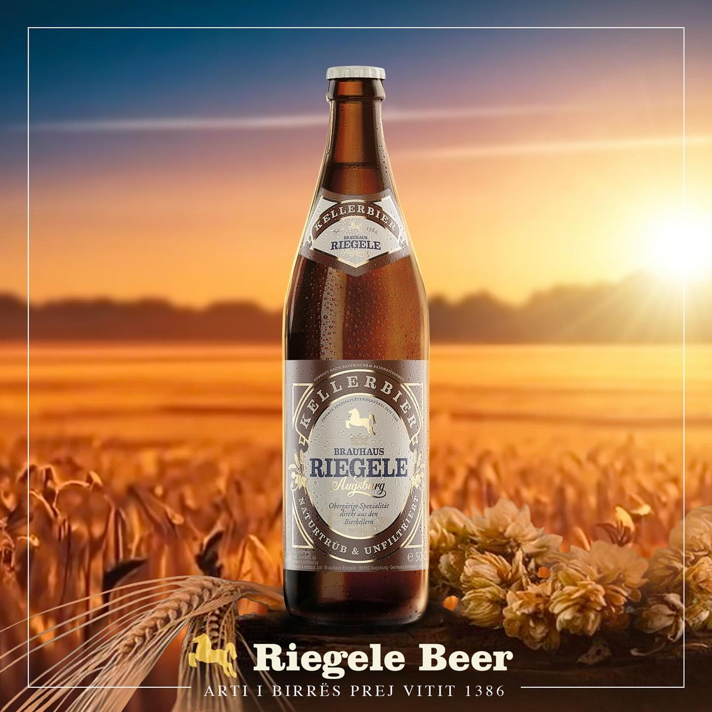 Social Media Post for Riegele Beer created by Axios Creative.